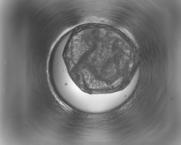 X0000072551128200608111832