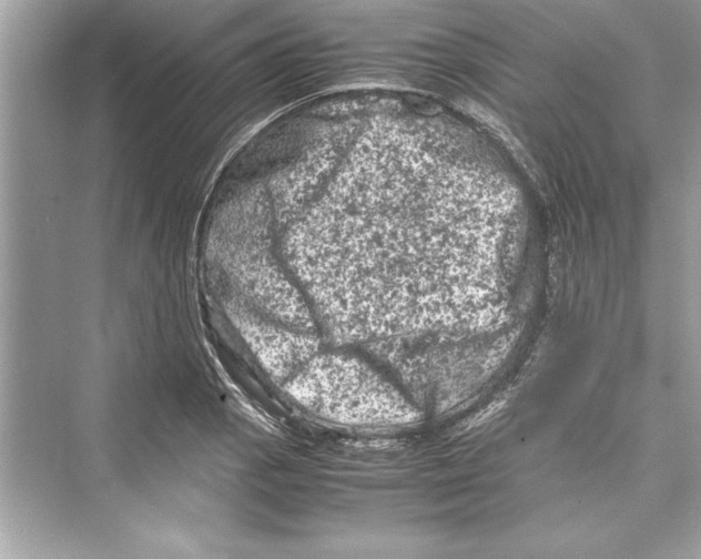 X0000072551129200608111832