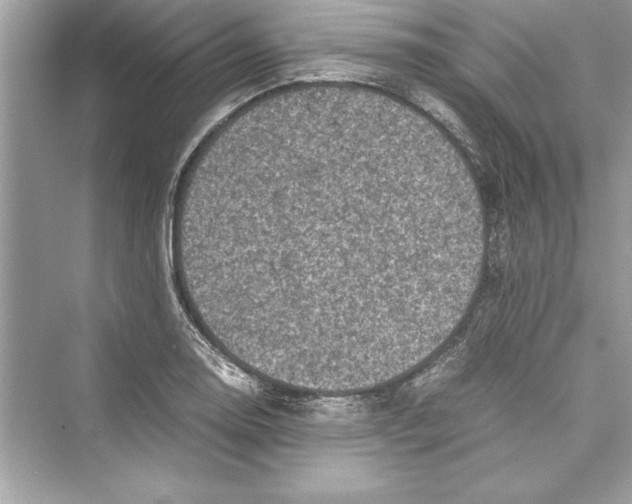 X0000072551130200608111832