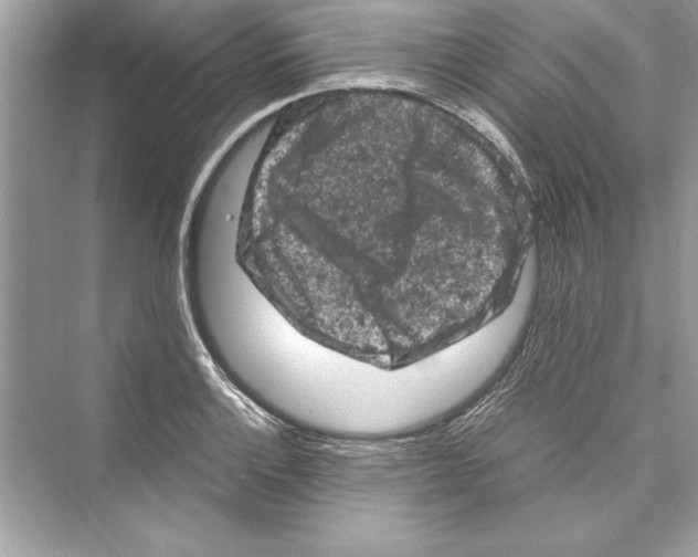 X0000072551132200608111832