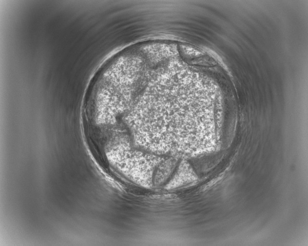 X0000072551133200608111832