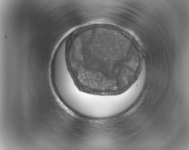 X0000072551134200608111832