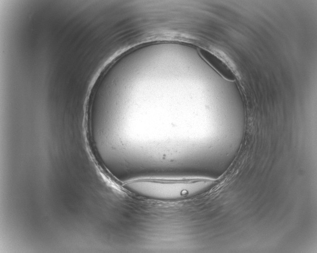 X0000072551136200608111832