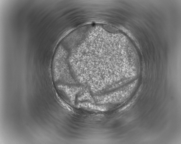 X0000072551137200608111832