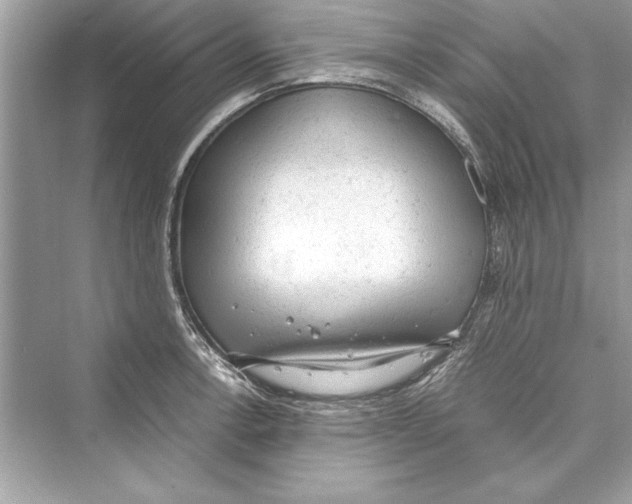 X0000072551138200608111832