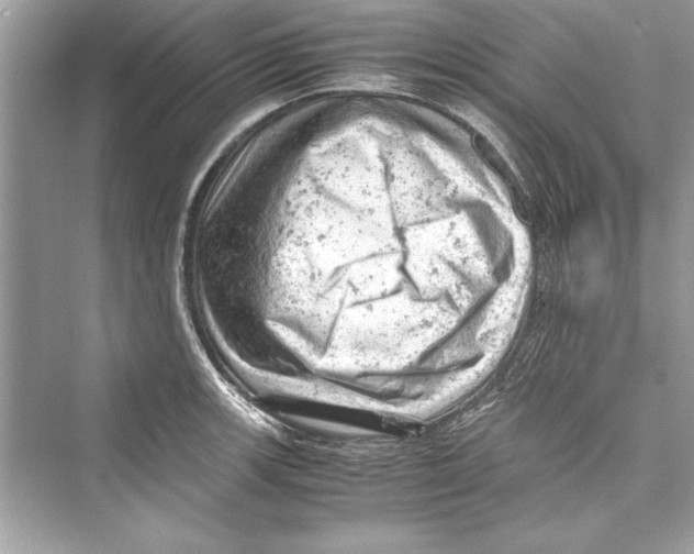 X0000072551139200608111832