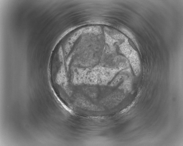 X0000072551141200608111832