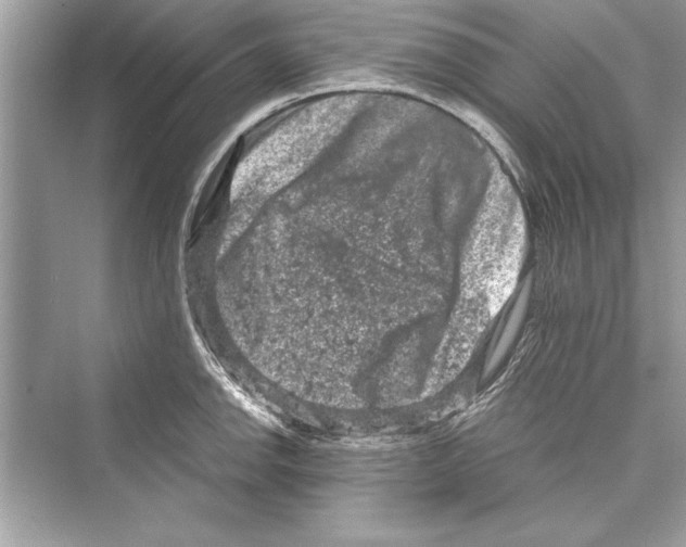 X0000072551142200608111832