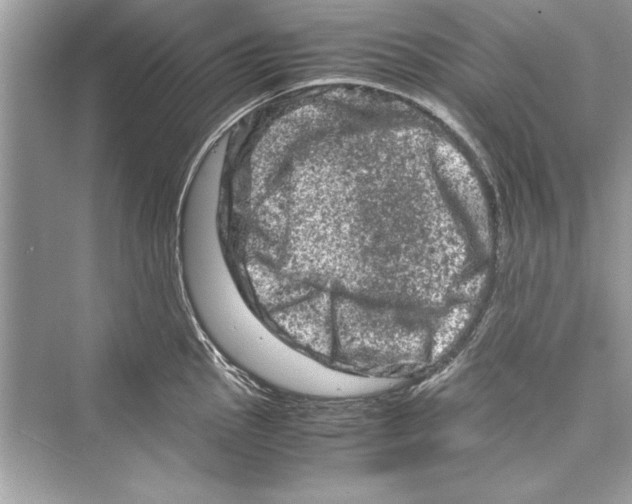 X0000072551145200608111832