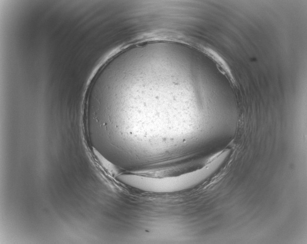 X0000072551146200608111832