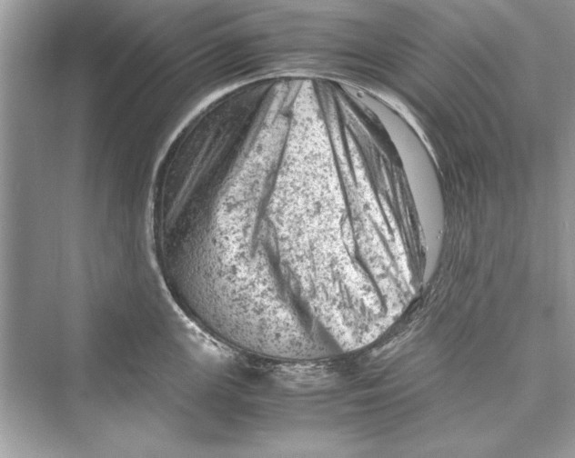 X0000072551147200608111832