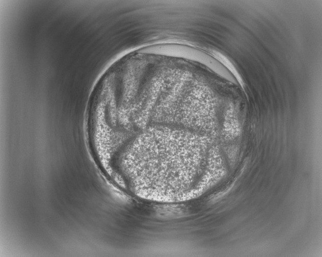 X0000072551149200608111832