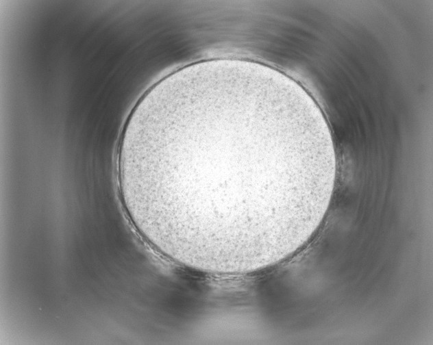 X0000072551150200608111832