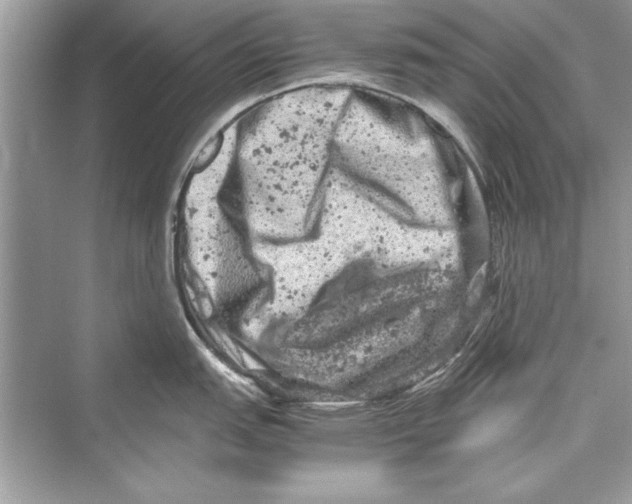 X0000072551151200608111832