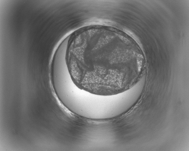 X0000072551152200608111832