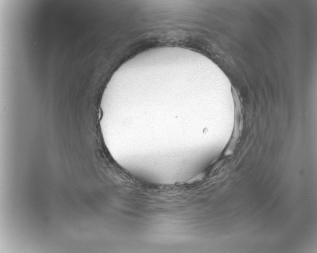 X0000072551153200608111831