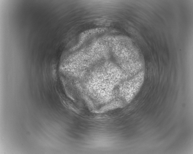 X0000072551154200608111831