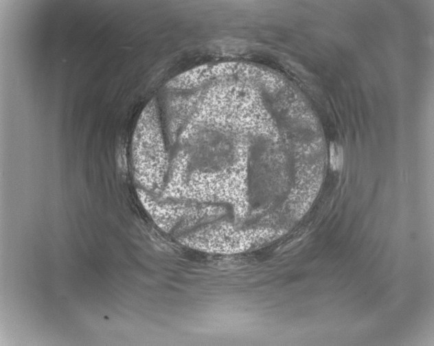 X0000072551155200608111831