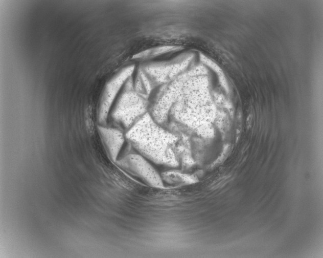 X0000072551156200608111831