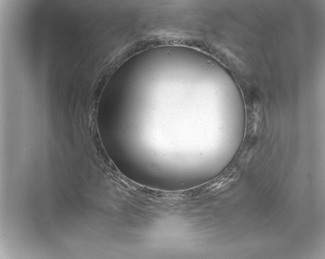 X0000072551157200608111831