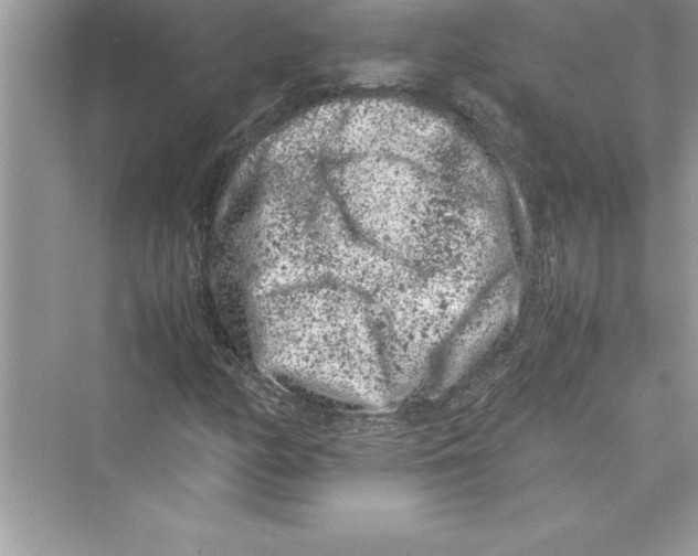 X0000072551158200608111831