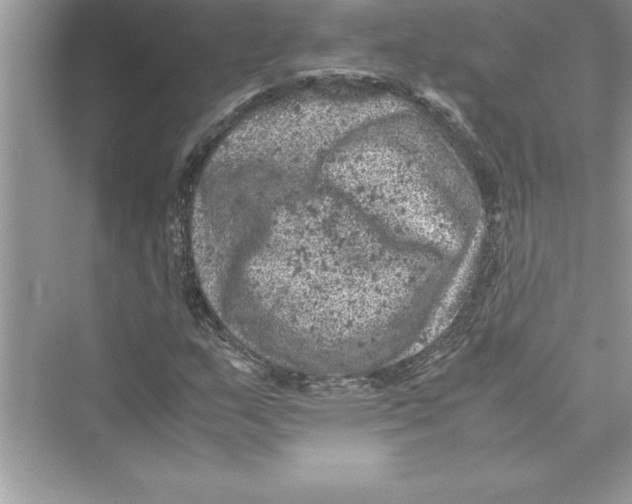 X0000072551159200608111831