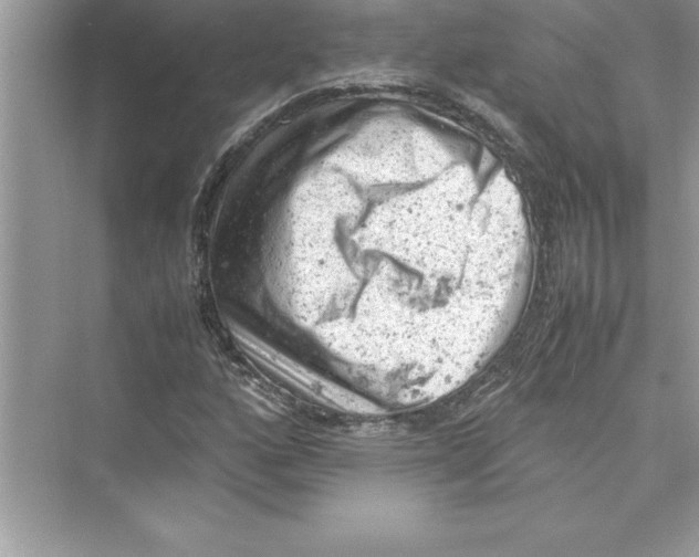 X0000072551160200608111831