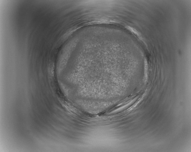 X0000072551161200608111831