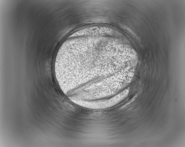 X0000072551162200608111831