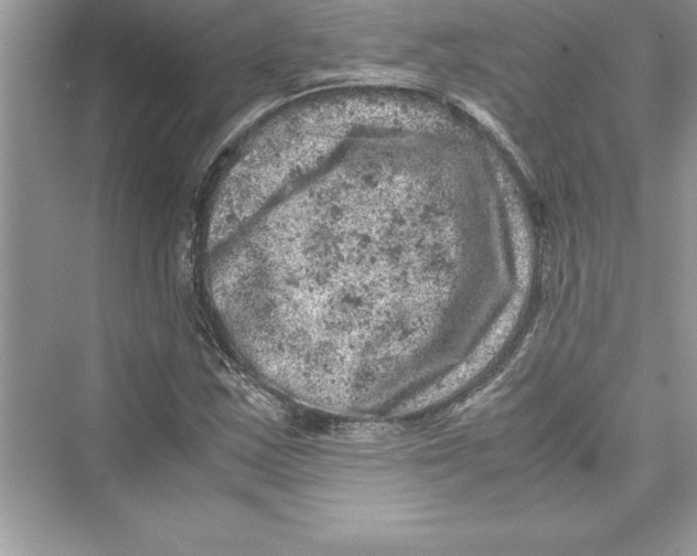 X0000072551163200608111831