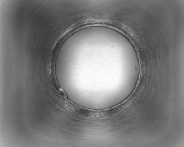 X0000072551165200608111831