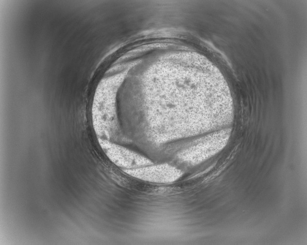 X0000072551166200608111831