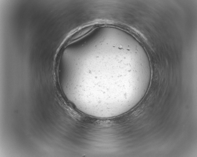 X0000072551168200608111831