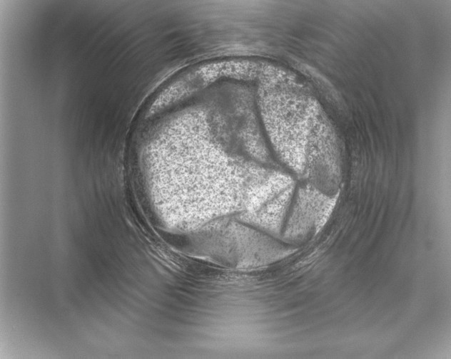 X0000072551170200608111831