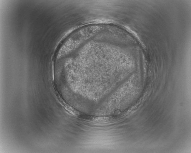 X0000072551171200608111831