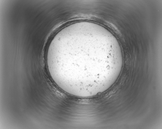 X0000072551172200608111831