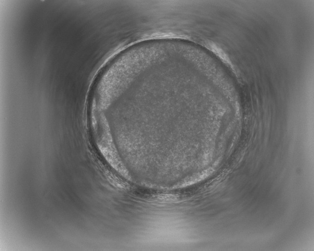 X0000072551173200608111831