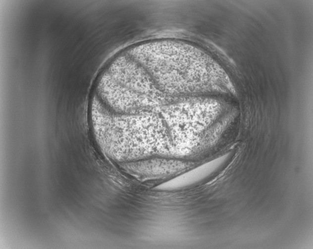 X0000072551174200608111831