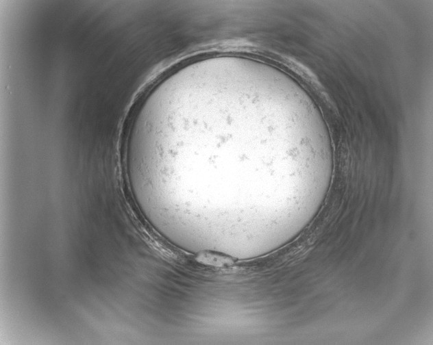 X0000072551176200608111831