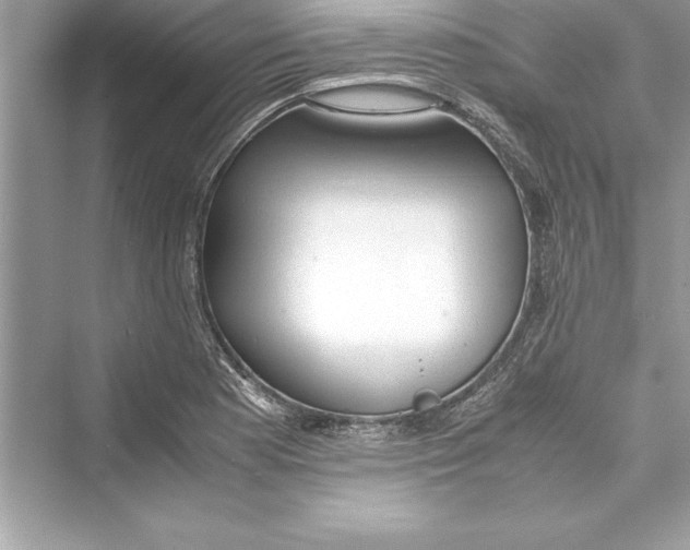 X0000072551177200608111831