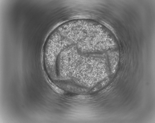 X0000072551179200608111831