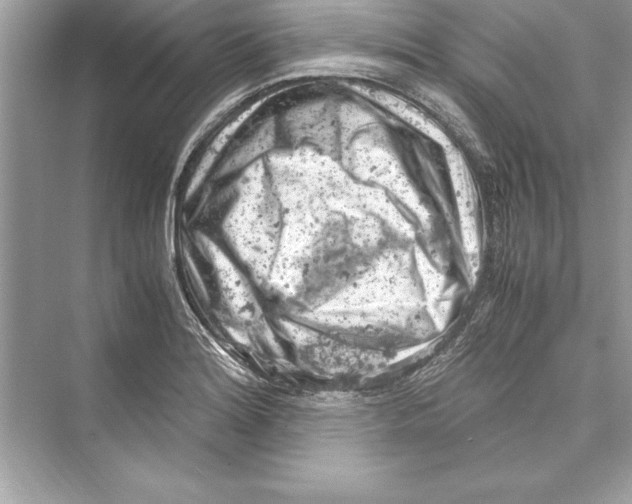 X0000072551180200608111831