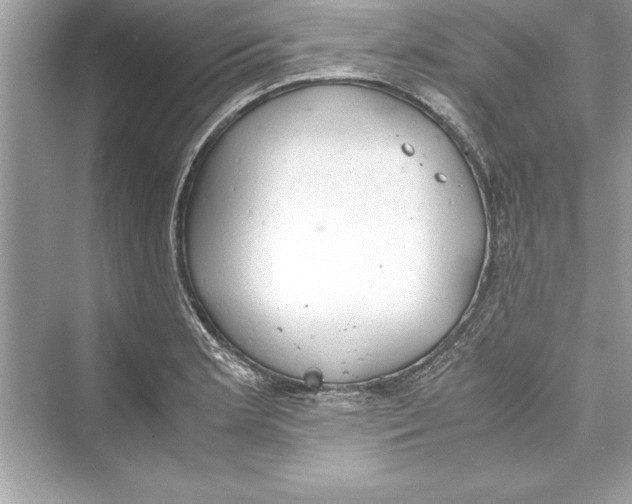 X0000072551181200608111831