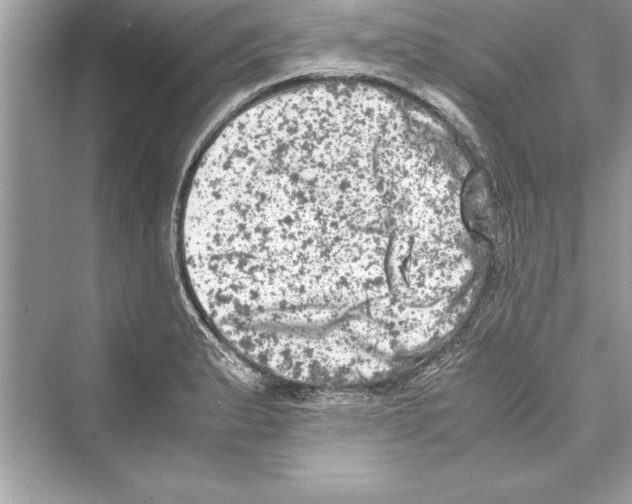 X0000072551183200608111831