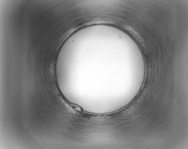 X0000072551185200608111831