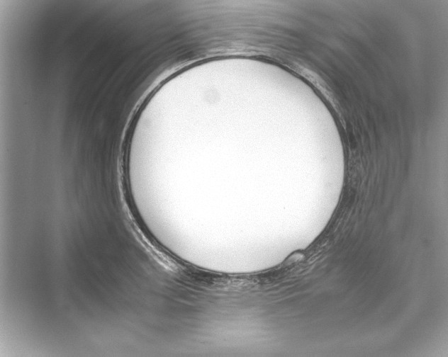 X0000072551187200608111831