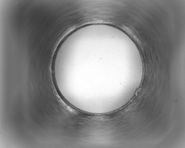 X0000072551189200608111831