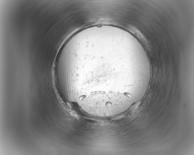 X0000072551190200608111831