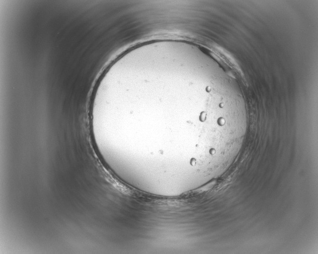 X0000072551192200608111831