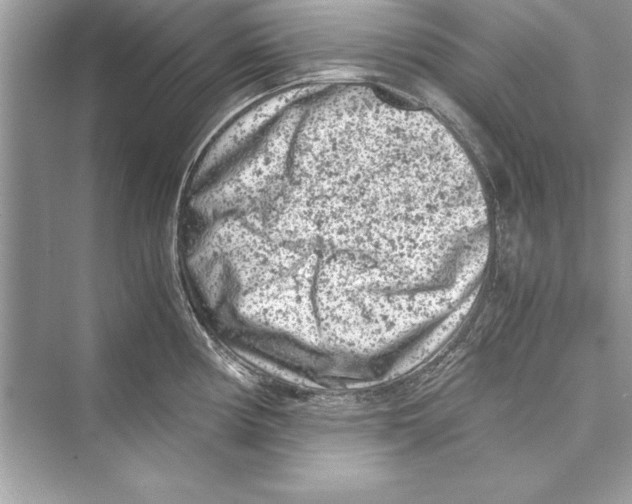 X0000072551194200608111831